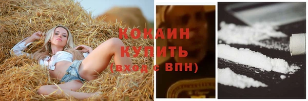 Альфа ПВП Корсаков