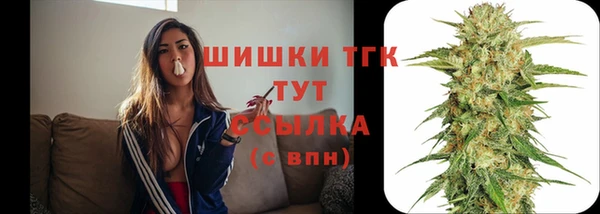 таблы Коряжма