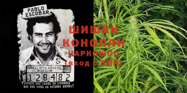 тгк Костерёво