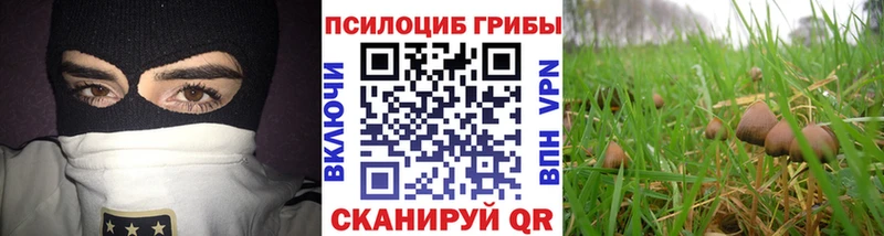 Псилоцибиновые грибы прущие грибы  kraken как войти  Серов 