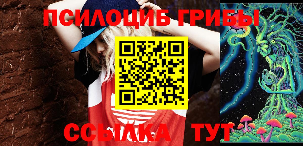 Псилоцибиновые грибы прущие грибы  Вход с VPN  Серов 